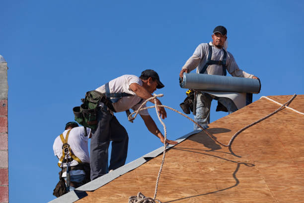 Best Roof Repair Services  in Converse, IN