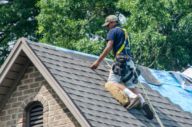 Best Roof Gutter Cleaning  in Converse, IN